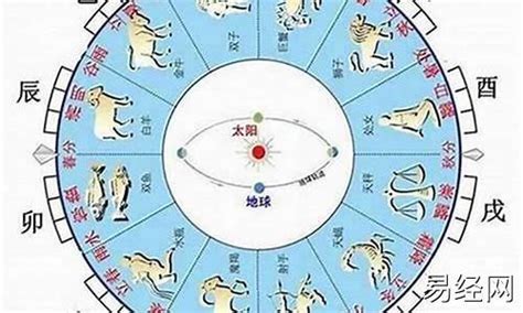 1963年属什么|1963年属兔的是什么命，63年出生的兔五行属什么